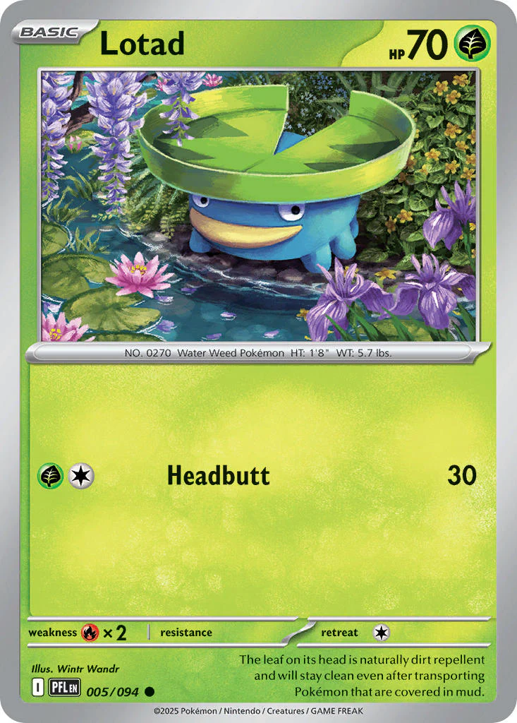 Lotad 005/094 - Common