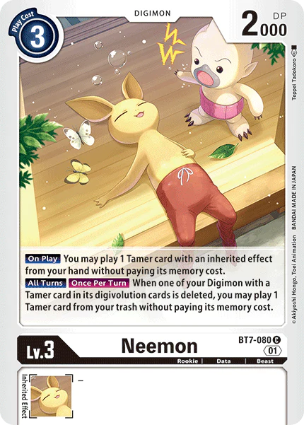 Neemon BT7-080